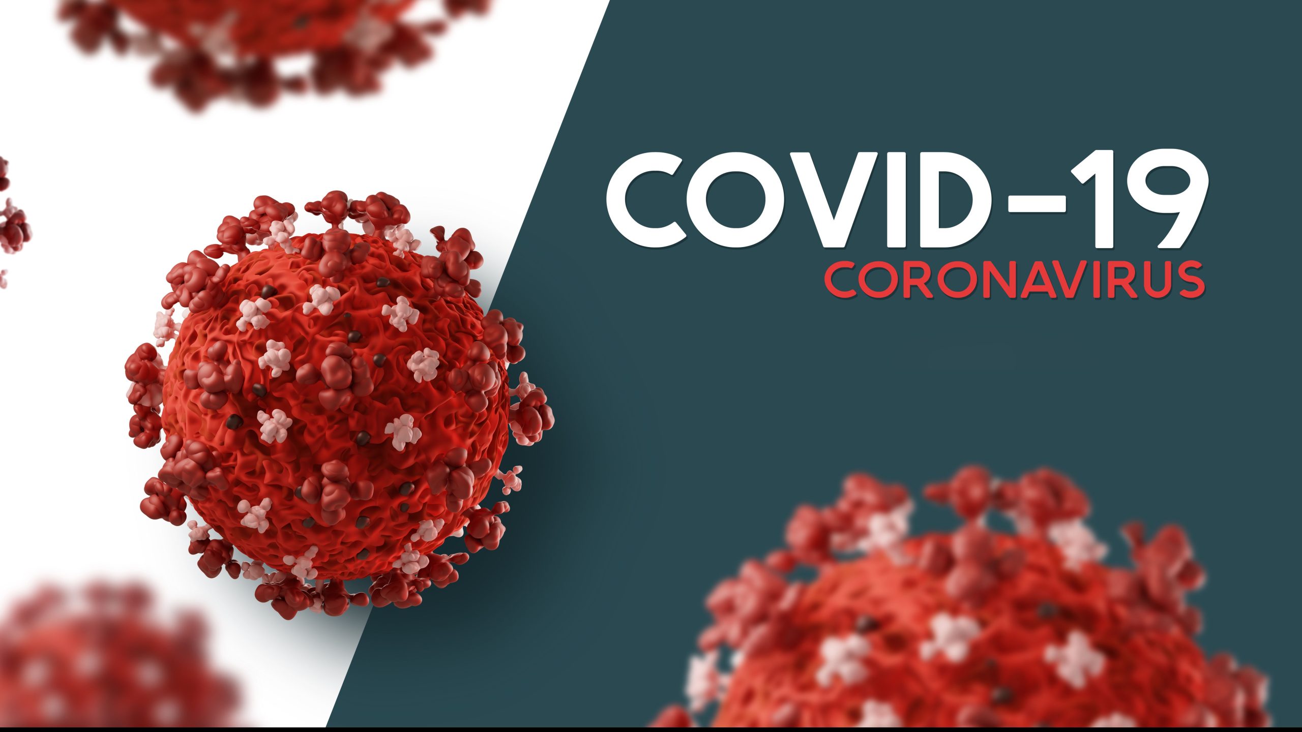 covid 19