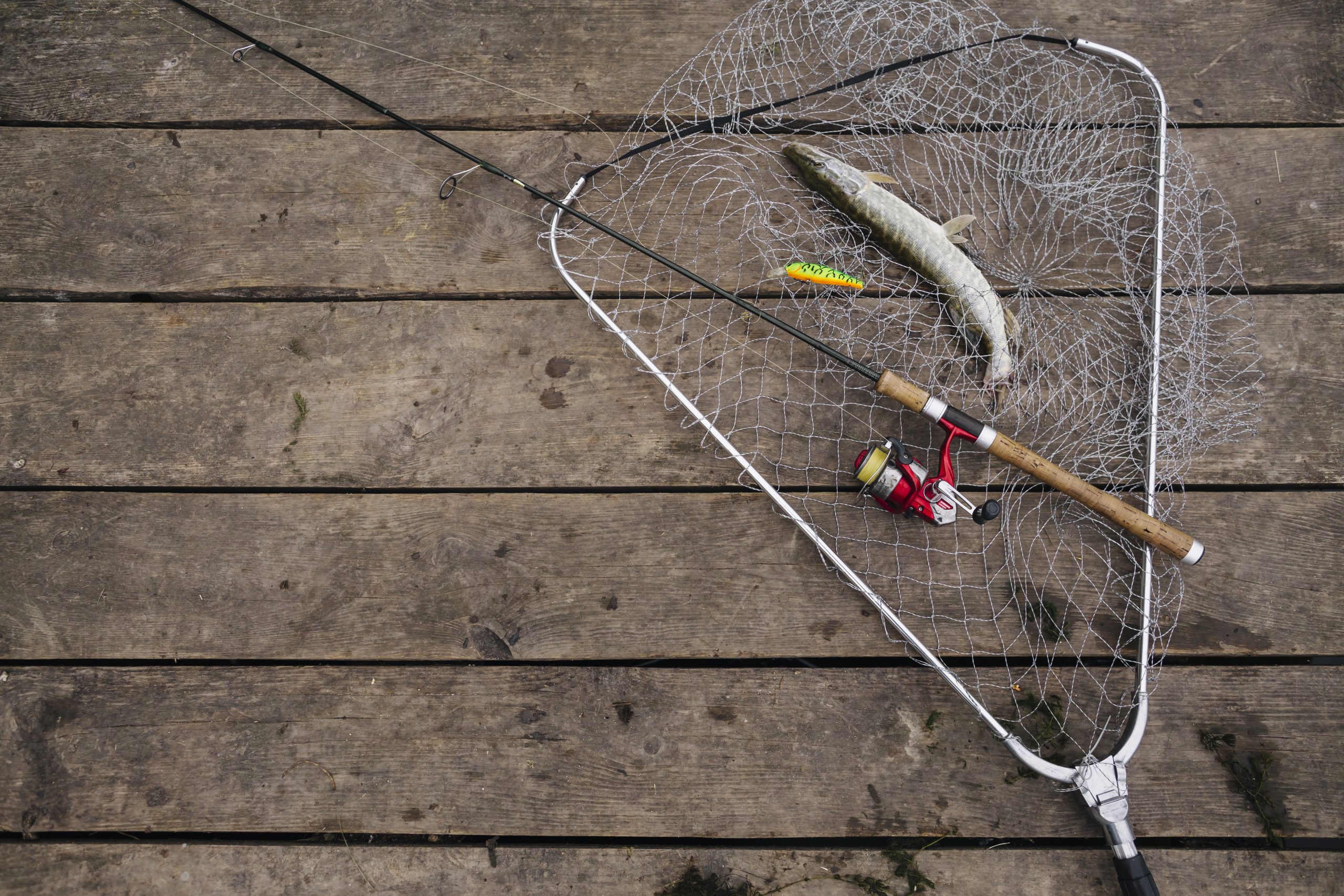 pesce in una rete da pesca
