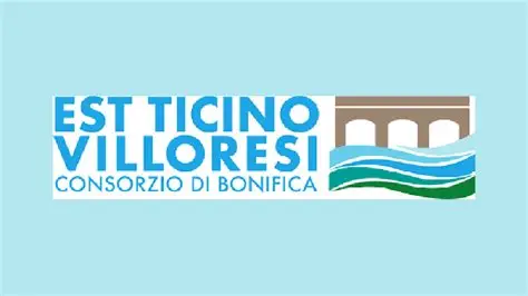 Immagine anteprima
